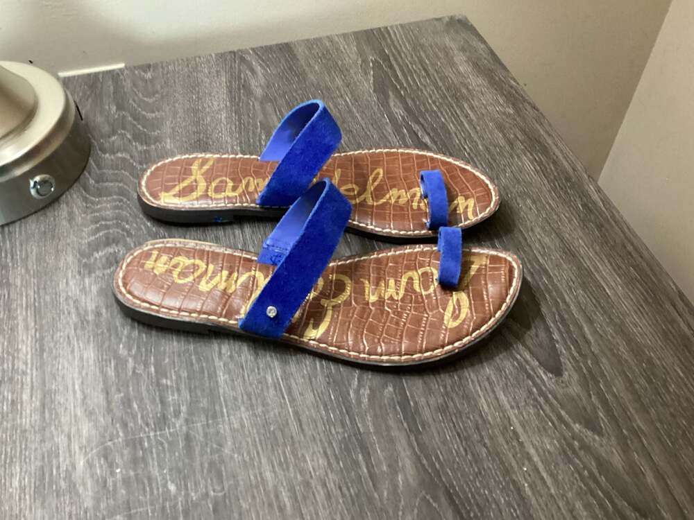 Sam Edelman Cobalt Blue Suede Toe-Loop Slide Sandals - Picture 2 of 4